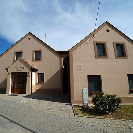 Penzionu Aurelius U Bednaru Pavlov Extérieur photo