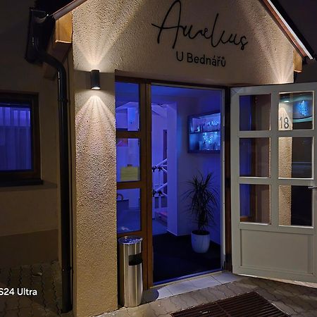 Penzionu Aurelius U Bednaru Pavlov Extérieur photo